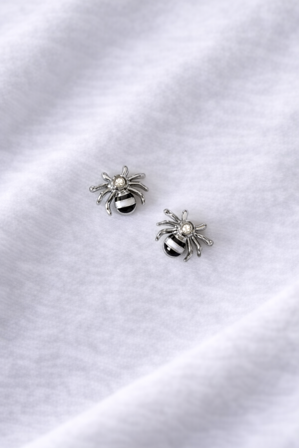 Striped Spider